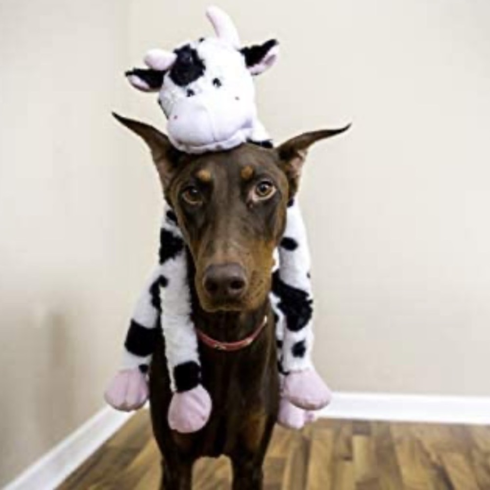Cuzzle Buddies Dog Toy